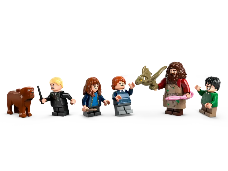 Cabaña de Hagrid: Una Visita Inesperada - Imagen 9